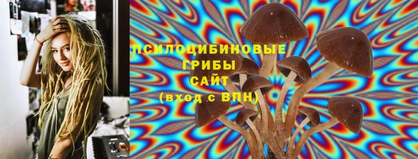 прущий лед Протвино