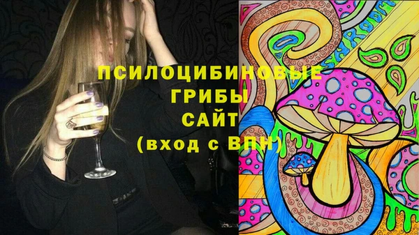 прущие грибы Балахна